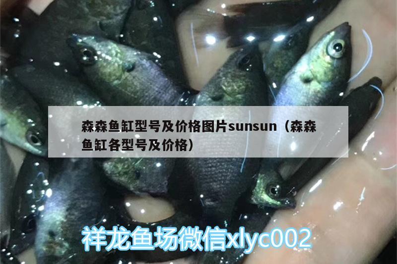 森森魚(yú)缸型號(hào)及價(jià)格圖片sunsun（森森魚(yú)缸各型號(hào)及價(jià)格）