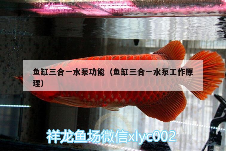 魚缸三合一水泵功能（魚缸三合一水泵工作原理）