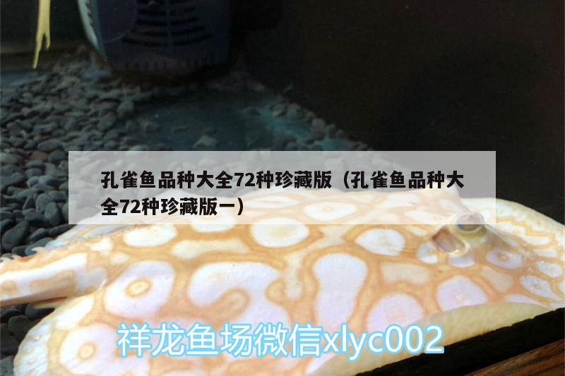 孔雀魚品種大全72種珍藏版（孔雀魚品種大全72種珍藏版一）