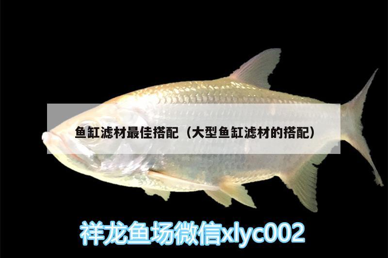 魚缸濾材最佳搭配（大型魚缸濾材的搭配）