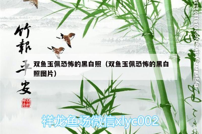 雙魚玉佩恐怖的黑白照（雙魚玉佩恐怖的黑白照圖片）