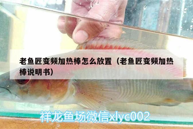 老魚匠變頻加熱棒怎么放置（老魚匠變頻加熱棒說明書）