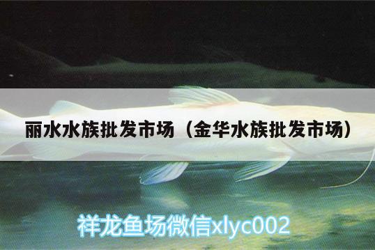 麗水水族批發(fā)市場(chǎng)（金華水族批發(fā)市場(chǎng)）