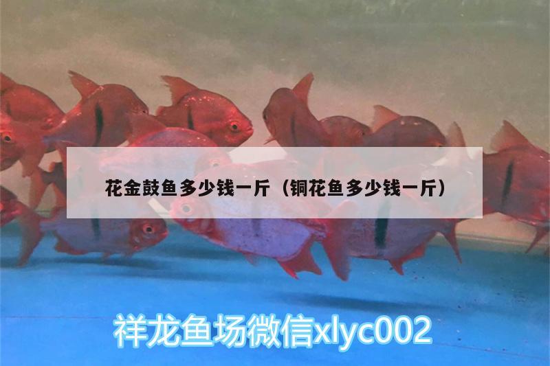 花金鼓魚多少錢一斤（銅花魚多少錢一斤）