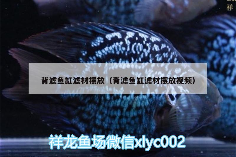 背濾魚缸濾材擺放（背濾魚缸濾材擺放視頻）