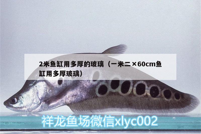 2米魚缸用多厚的玻璃（一米二×60cm魚缸用多厚玻璃）