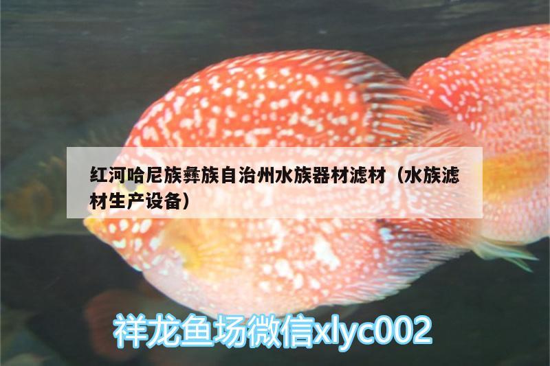 紅河哈尼族彝族自治州水族器材濾材（水族濾材生產(chǎn)設(shè)備） 紅魔王銀版魚