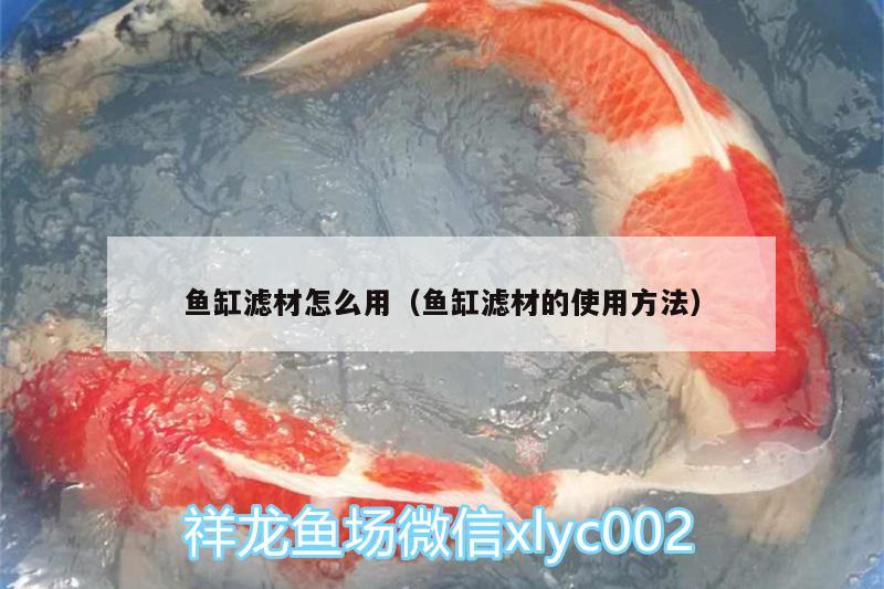 魚缸濾材怎么用（魚缸濾材的使用方法）