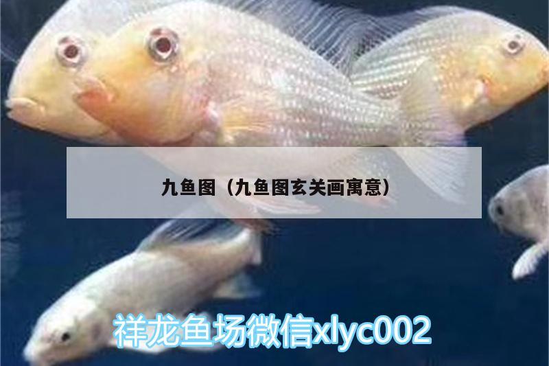 九魚(yú)圖（九魚(yú)圖玄關(guān)畫(huà)寓意） 虎魚(yú)百科