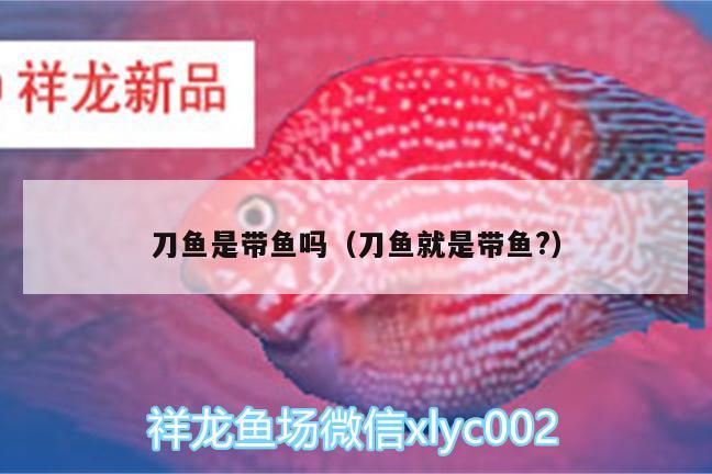 刀魚(yú)是帶魚(yú)嗎（刀魚(yú)就是帶魚(yú)?）