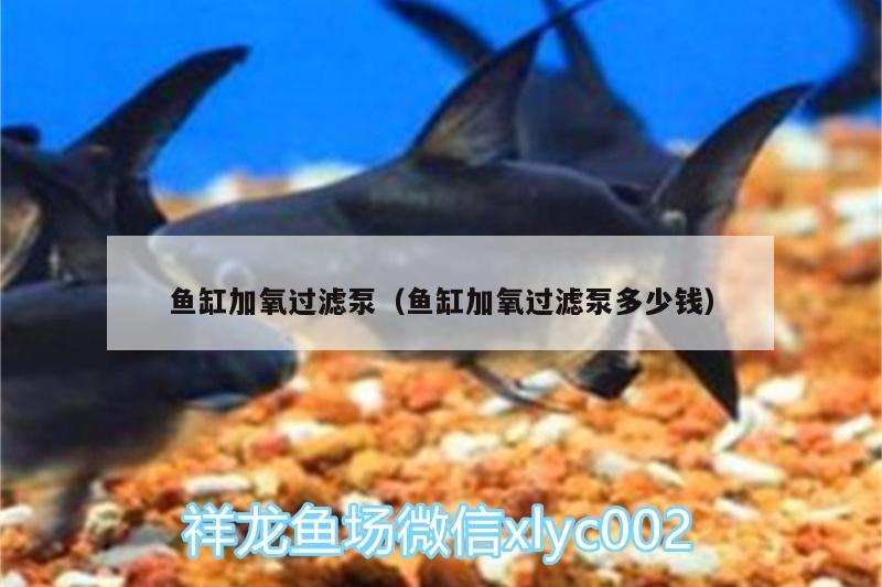 魚缸加氧過濾泵（魚缸加氧過濾泵多少錢） 觀賞龜/鱉飼料 第2張