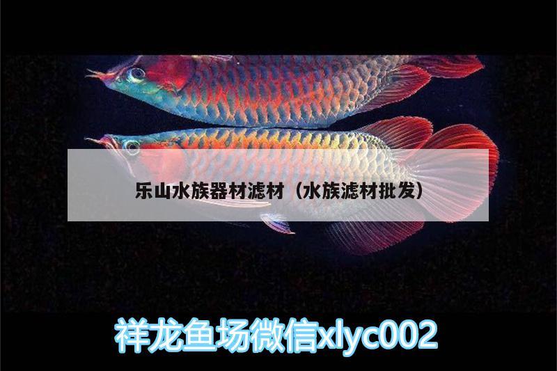 樂山水族器材濾材（水族濾材批發(fā)）