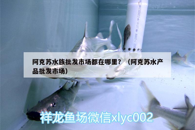 阿克蘇水族批發(fā)市場都在哪里？（阿克蘇水產品批發(fā)市場）