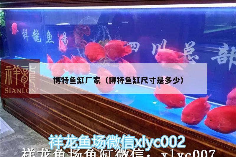 博特魚缸廠家（博特魚缸尺寸是多少）