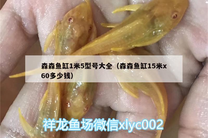 森森魚缸1米5型號大全（森森魚缸15米x60多少錢）