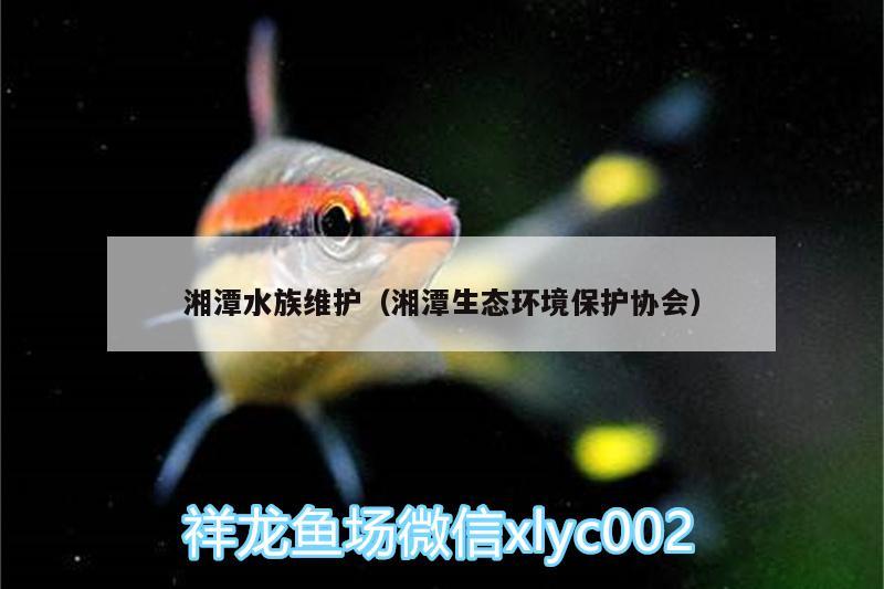 湘潭水族維護(hù)（湘潭生態(tài)環(huán)境保護(hù)協(xié)會(huì)）