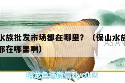 保山水族批發(fā)市場都在哪里？（保山水族批發(fā)市場都在哪里啊） 觀賞魚水族批發(fā)市場