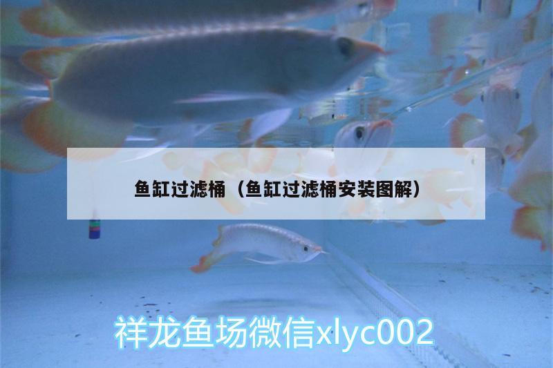 魚缸過濾桶（魚缸過濾桶安裝圖解）