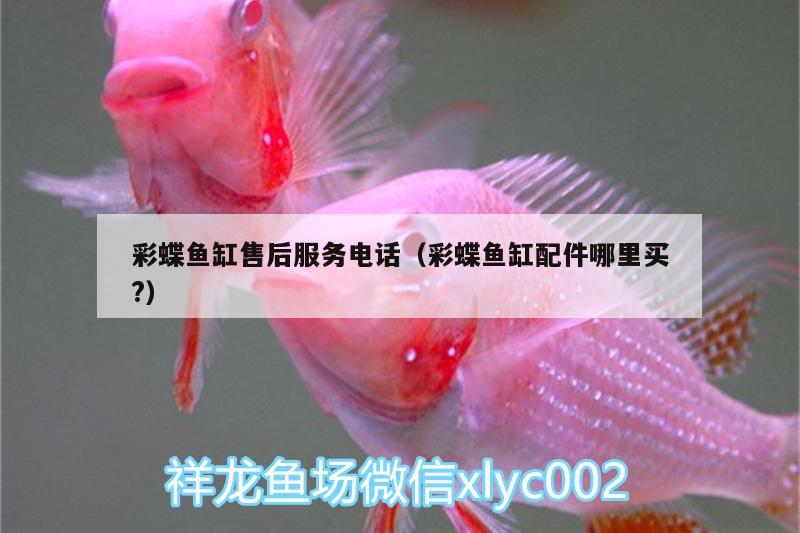 彩蝶魚缸售后服務(wù)電話（彩蝶魚缸配件哪里買?）