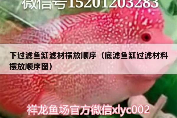 下過濾魚缸濾材擺放順序（底濾魚缸過濾材料擺放順序圖） 球鯊魚