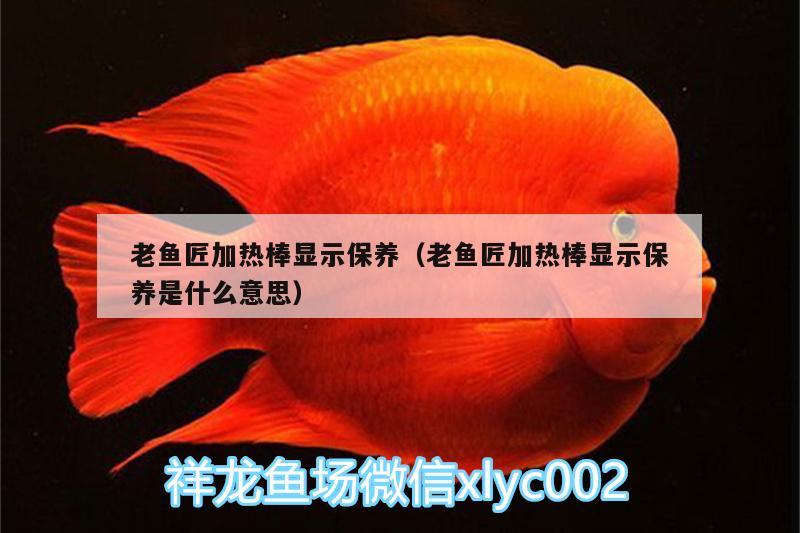 老魚匠加熱棒顯示保養(yǎng)（老魚匠加熱棒顯示保養(yǎng)是什么意思） 老魚匠