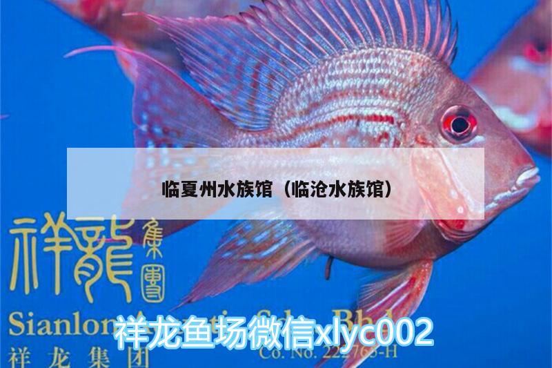 臨夏州水族館（臨滄水族館） 飛鳳魚