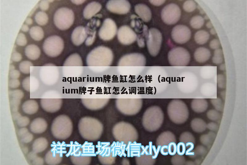 aquarium牌魚(yú)缸怎么樣（aquarium牌子魚(yú)缸怎么調(diào)溫度） 水族用品