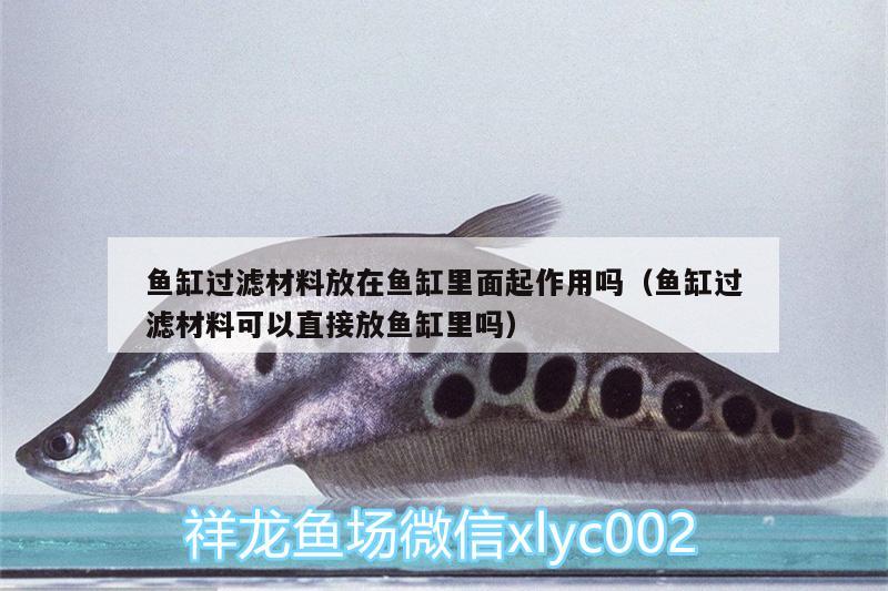 魚(yú)缸過(guò)濾材料放在魚(yú)缸里面起作用嗎（魚(yú)缸過(guò)濾材料可以直接放魚(yú)缸里嗎） 印尼四紋虎