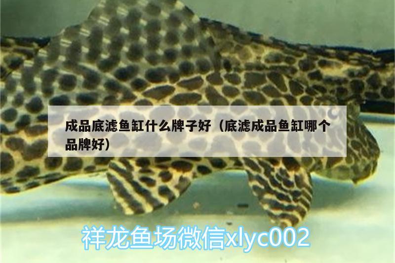 成品底濾魚缸什么牌子好（底濾成品魚缸哪個品牌好）