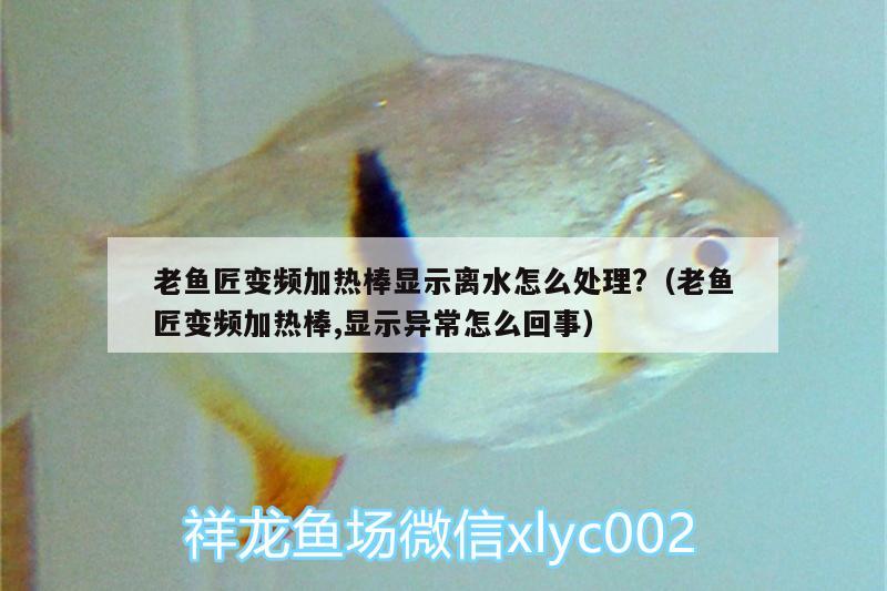 老魚匠變頻加熱棒顯示離水怎么處理?（老魚匠變頻加熱棒,顯示異常怎么回事） 老魚匠