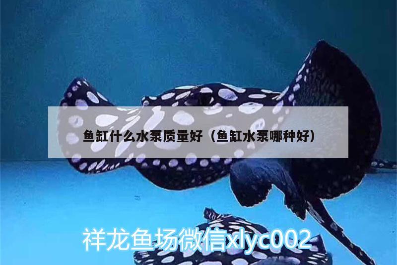 魚缸什么水泵質量好（魚缸水泵哪種好） 魚缸水泵