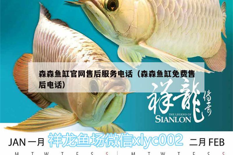 森森魚缸官網(wǎng)售后服務(wù)電話（森森魚缸免費售后電話） 羽毛刀魚苗