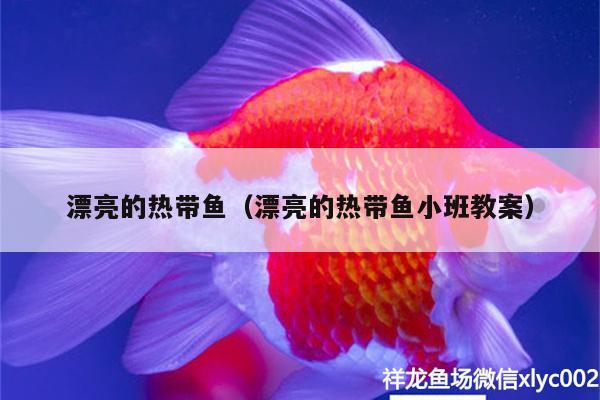 漂亮的熱帶魚（漂亮的熱帶魚小班教案） 七彩神仙魚