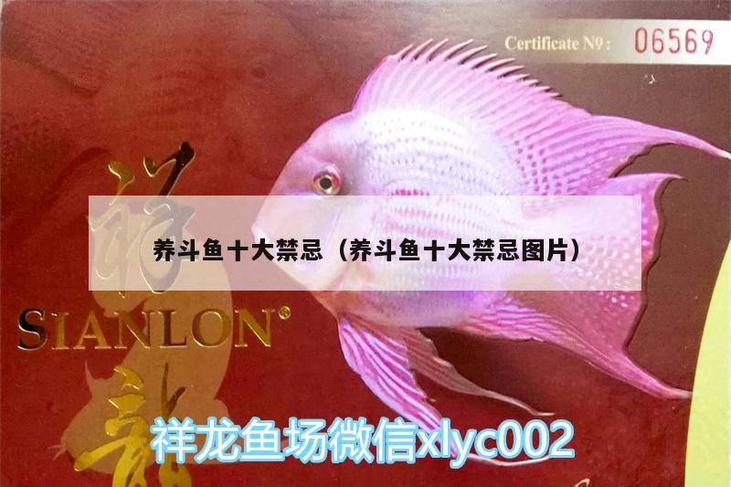 養(yǎng)斗魚十大禁忌（養(yǎng)斗魚十大禁忌圖片） 蘇虎