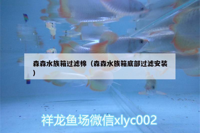 森森水族箱過濾棉（森森水族箱底部過濾安裝） 魚缸/水族箱