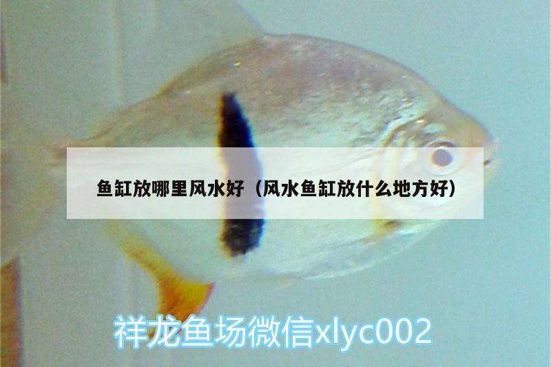 魚缸放哪里風(fēng)水好（風(fēng)水魚缸放什么地方好）