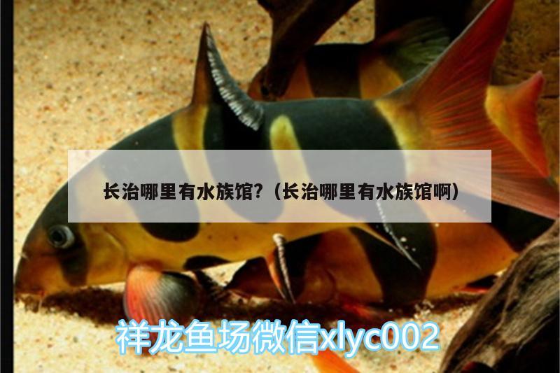 長治哪里有水族館?（長治哪里有水族館?。? title=