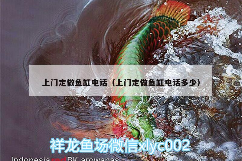 上門定做魚缸電話（上門定做魚缸電話多少） 魟魚百科