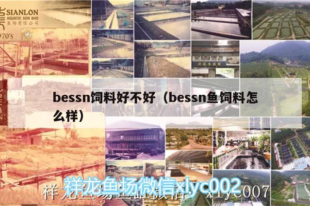 bessn飼料好不好（bessn魚飼料怎么樣） 魚缸清潔用具