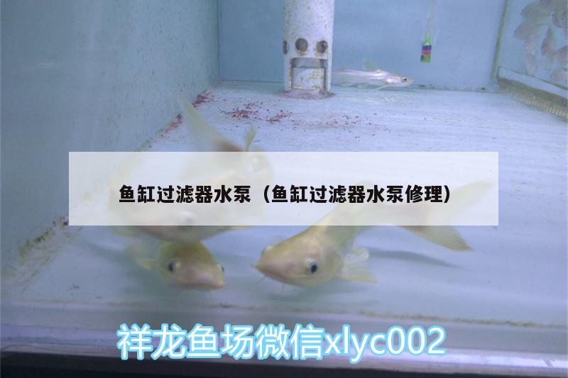 魚缸過濾器水泵（魚缸過濾器水泵修理）