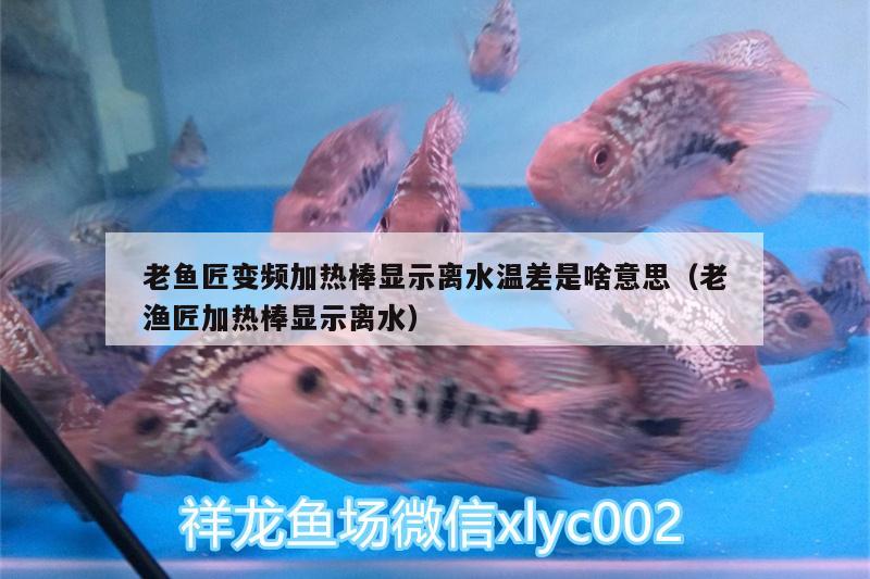 老魚匠變頻加熱棒顯示離水溫差是啥意思（老漁匠加熱棒顯示離水） 老魚匠