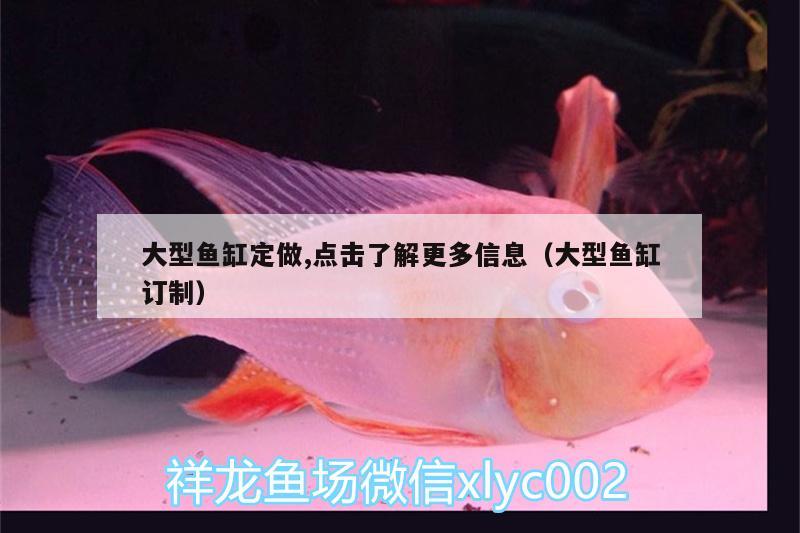 大型魚缸定做,點擊了解更多信息（大型魚缸訂制）