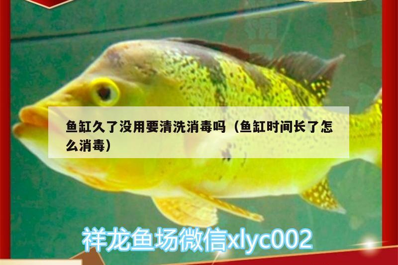 魚(yú)缸久了沒(méi)用要清洗消毒嗎（魚(yú)缸時(shí)間長(zhǎng)了怎么消毒） 南美異型魚(yú) 第3張