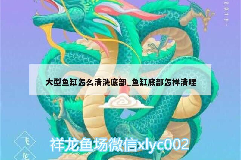 大型魚缸怎么清洗底部_魚缸底部怎樣清理