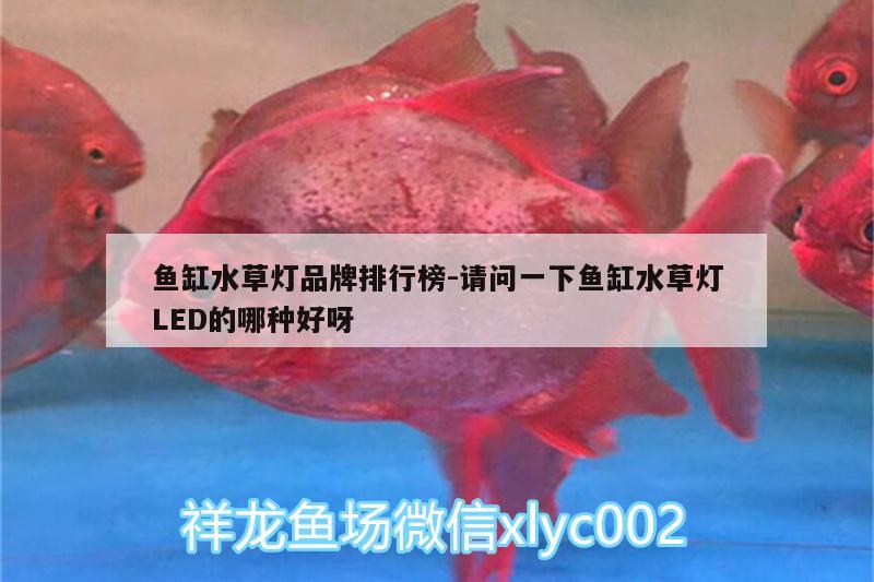 魚缸水草燈品牌排行榜:請問一下魚缸水草燈LED的哪種好呀