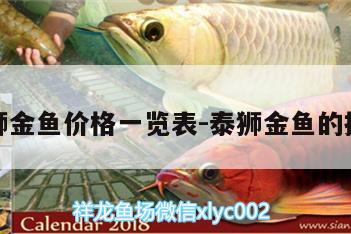 泰獅金魚價(jià)格一覽表:泰獅金魚的挑選 銀龍魚百科