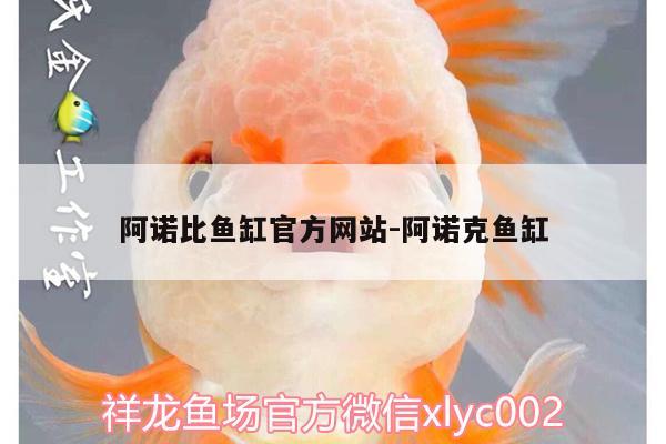 阿諾比魚缸官方網(wǎng)站:阿諾克魚缸