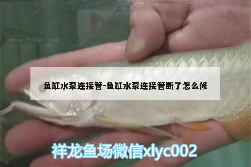 魚缸水泵連接管:魚缸水泵連接管斷了怎么修 魚缸水泵