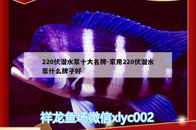 220伏潛水泵十大名牌:家用220伏潛水泵什么牌子好 圣菲埃及魚(yú) 第1張