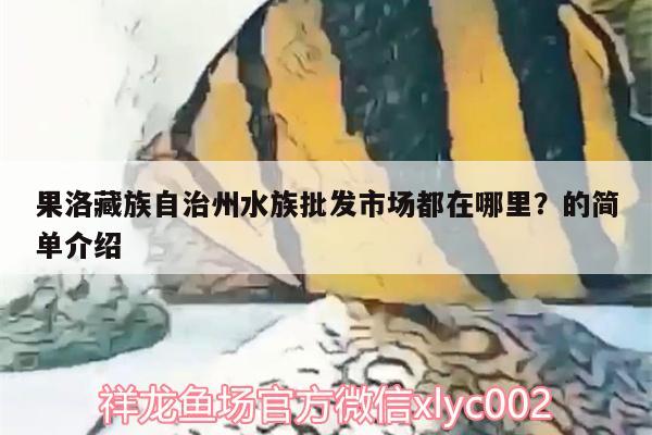 果洛藏族自治州水族批發(fā)市場都在哪里？的簡單介紹 觀賞魚水族批發(fā)市場